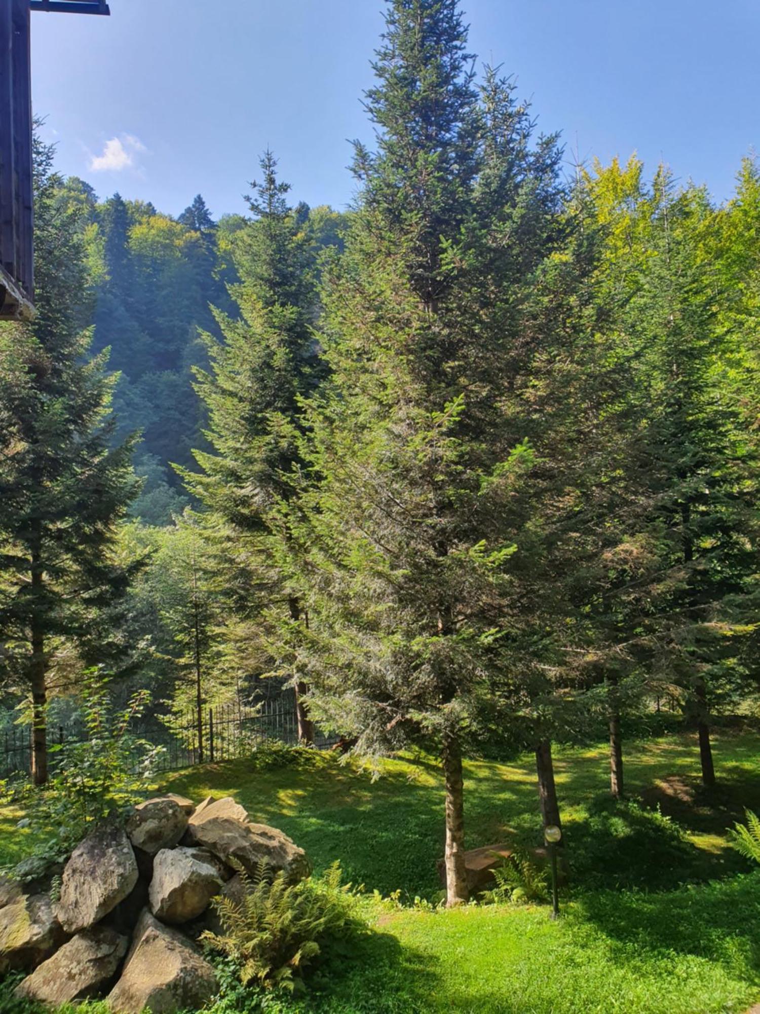 Садиба Nad Prutom Yaremche Exterior photo
